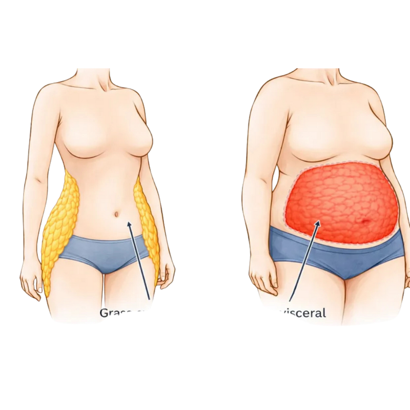 2. Tu metabolismo se ralentiza