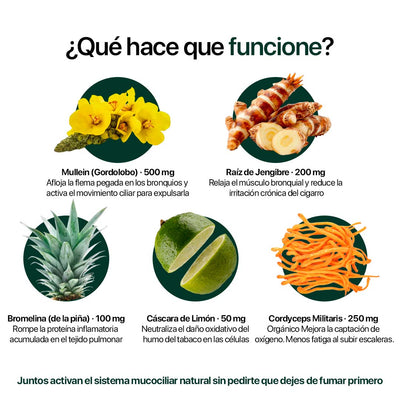 PulmoClear — Limpieza Pulmonar Para Fumadores